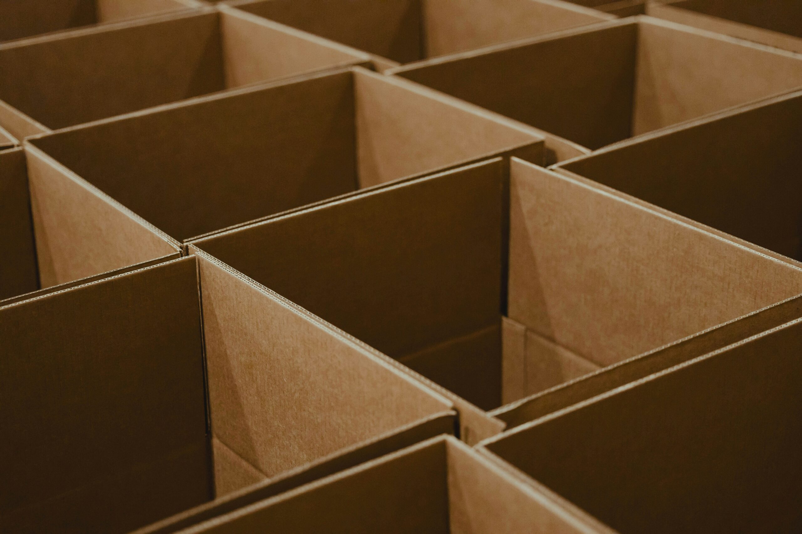 cartons export vin planet aura emballaga anti choc vin