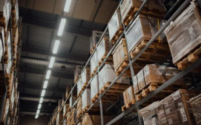 La solution de stockage de vin pour professionnels et particuliers